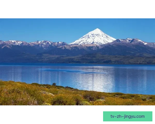 费罗卡利不敌洛斯安第斯全场失误频繁 0比2败北止步赛事晋级