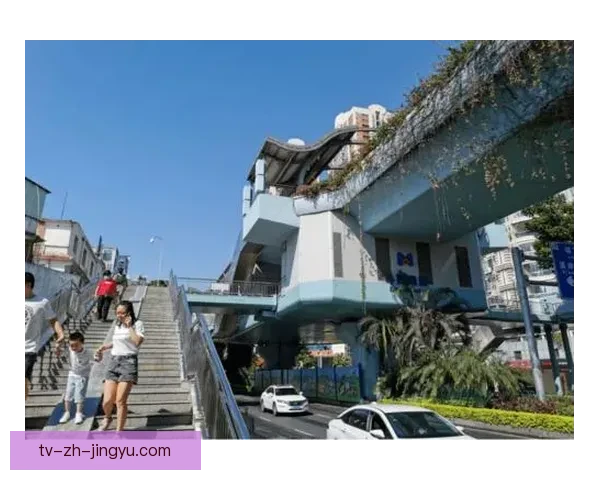 菲科西宁水泥助力湄公芹苴地区基础设施建设与可持续发展探索